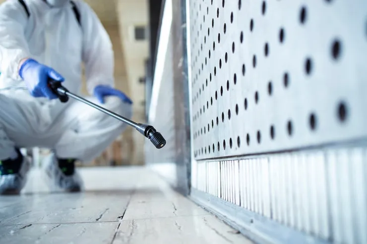 Understanding Fumigation and Pest Control Services